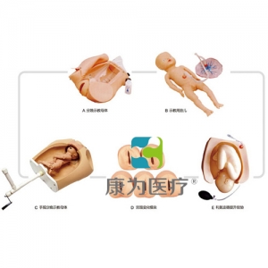 “康為醫(yī)療”高級腹部觸診、分娩機轉綜合模型