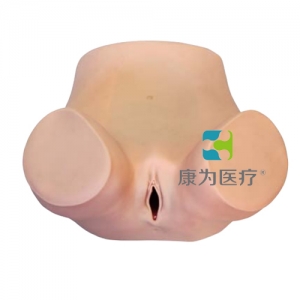 “康為醫(yī)療”產后子宮觸診模型