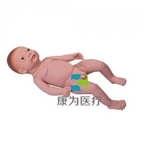 “康為醫(yī)療”高級足月胎兒模型（男嬰、女嬰任選）