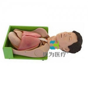 “康為醫(yī)療”胃腸減壓、吸痰標(biāo)準(zhǔn)化模擬病人
