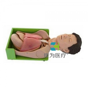 “康為醫(yī)療”胃腸減壓、吸痰標準化模擬病人