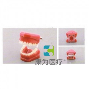 “康為醫(yī)療”標(biāo)準(zhǔn)模型（平板、斜板兩款）