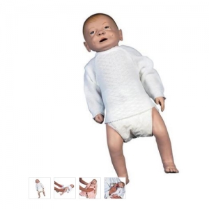 德國3B Scientific?哺乳嬰兒護(hù)理模型，男
