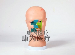 “康為醫(yī)療” 腦室引流護(hù)理模型, 腦室引流術(shù)后護(hù)理操作模型,側(cè)腦室穿刺引流術(shù)仿真訓(xùn)練模型。