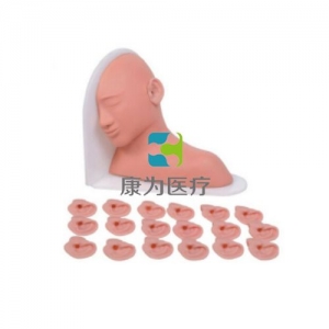 “康為醫(yī)療”高級(jí)耳部檢查模型,高級(jí)耳部檢查模型（14種、19種、25種病變）