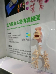支氣管鏡介入高仿真模型，支氣管鏡介入模擬器