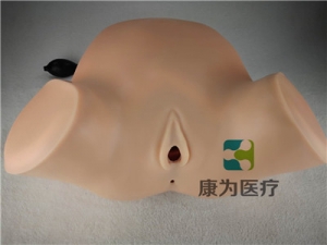 高端產(chǎn)科四步觸診、肛查、陰道檢查訓(xùn)練模型