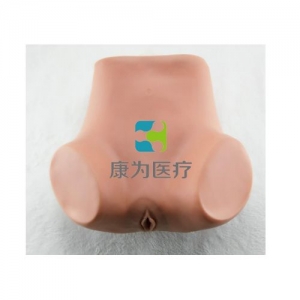 “康為醫(yī)療”子宮底檢查模型,產后子宮底評定、按摩訓練模型,子宮底檢查評定模型