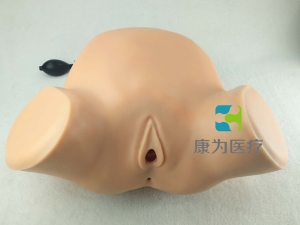 “康為醫(yī)療”婦產(chǎn)科四步觸診肛查陰道檢查監(jiān)測考核指導模型,高級腹部觸診、分娩機轉(zhuǎn)綜合模型