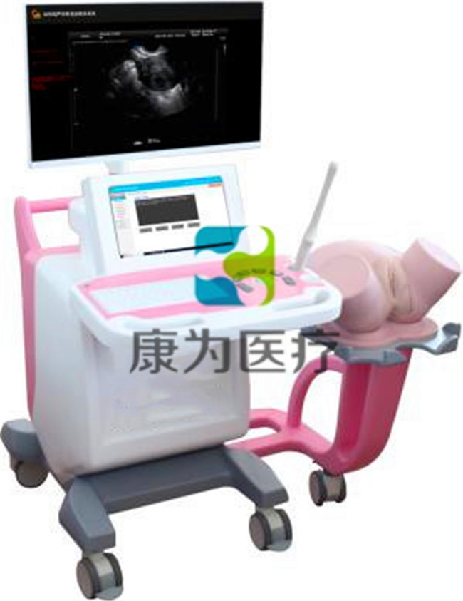 “康為醫(yī)療”醫(yī)學影像專業(yè)婦產科超聲虛擬訓練系統(tǒng)