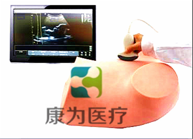 超聲引導下羊膜穿刺術訓練模型