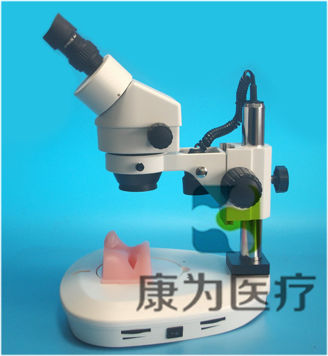 眼科顯微手術(shù)訓(xùn)練模擬器（視網(wǎng)膜、白內(nèi)障手術(shù)）