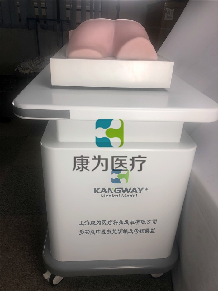 中醫(yī)拔罐、推拿、艾灸、刮痧、砭術(shù)技能訓(xùn)練模型