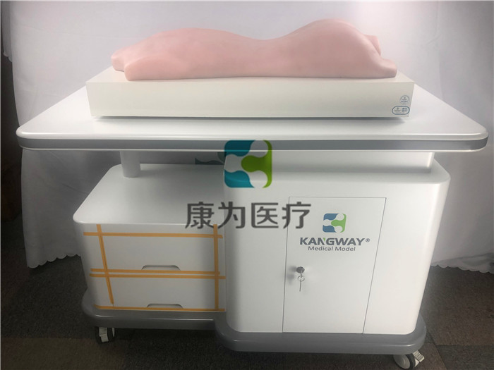 中醫(yī)拔罐、推拿、艾灸、刮痧、砭術(shù)技能訓(xùn)練模型