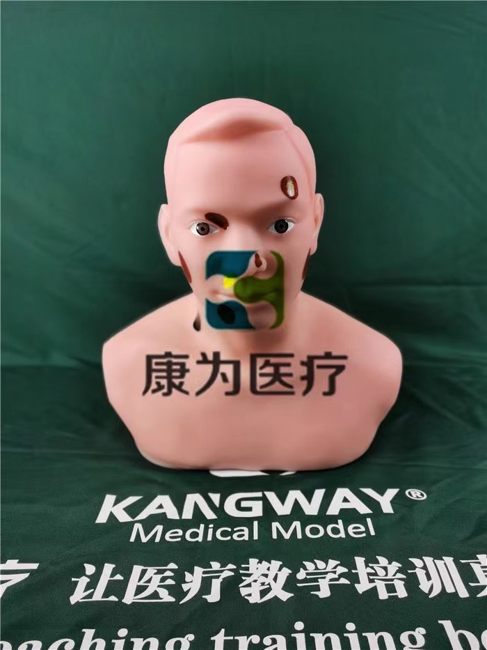 甲狀腺穿刺技能訓(xùn)練模型，甲狀腺穿刺技能訓(xùn)練模型新品.jpg